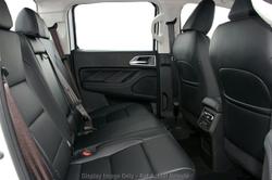 2025 GWM Cannon Premium