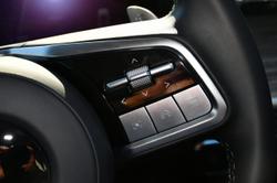 2025 GWM
Cannon Alpha Lux PHEV