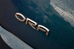 2025 GWM
Ora Standard Range