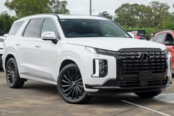 2025 Hyundai
Palisade Calligraphy Black Ink