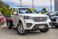 2019 Great Wall
Steed