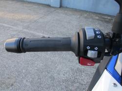 2023 BMW Motorrad G 310 GS WHITE