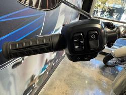 2025 Harley-Davidson Fat Boy 117 (FLFB) Softail Black