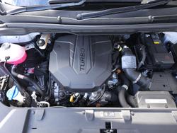 2021 Kia
Carnival Platinum
