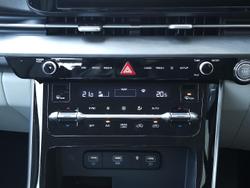 2021 Kia
Carnival Platinum