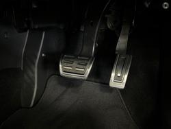 2025 SKODA
                Fabia 110TSI Monte Carlo