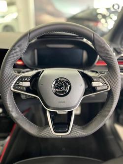 2025 SKODA
                Fabia 110TSI Monte Carlo