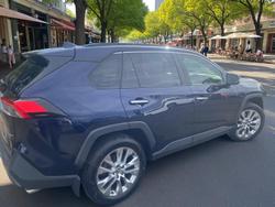 2019 Toyota RAV4 Cruiser