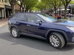 2019 Toyota RAV4 Cruiser