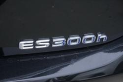 2021 Lexus
ES ES300h Sports Luxury