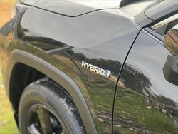 2021 Toyota RAV4 Cruiser