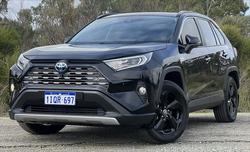 2021 Toyota RAV4 Cruiser