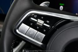 2025 GWM
Cannon Alpha Lux PHEV