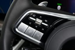 2025 GWM Cannon Alpha Lux PHEV