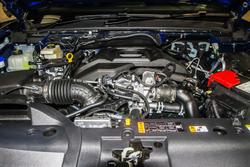 2025 Ford
Ranger Wildtrak
