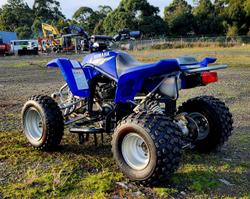 2002 Yamaha Blaster (YFS200) Blaster Blue