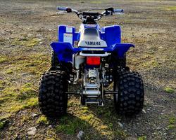 2002 Yamaha Blaster (YFS200) Blaster Blue