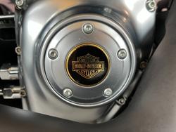 2013 Harley-davidson FLSTFB FAT BOY LO 110th ANN BRONZE / ANV BLACK