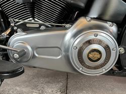 2013 Harley-davidson FLSTFB FAT BOY LO 110th ANN BRONZE / ANV BLACK