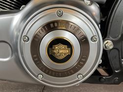 2013 Harley-davidson FLSTFB FAT BOY LO 110th ANN BRONZE / ANV BLACK