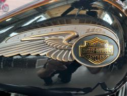 2013 Harley-davidson FLSTFB FAT BOY LO 110th ANN BRONZE / ANV BLACK