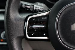 2022 Kia
                Carnival S