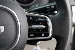 2022 Kia
                Carnival S