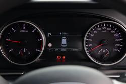 2022 Kia
                Carnival S
