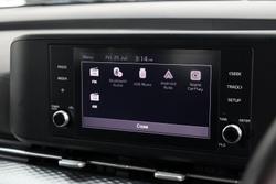 2022 Kia
                Carnival S
