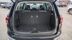 2022 Ford
Everest Trend