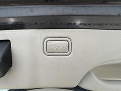 2017 Kia Carnival Platinum