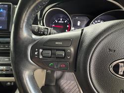 2017 Kia Carnival Platinum