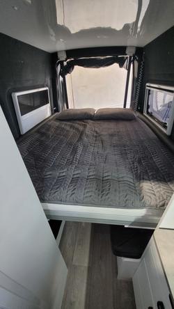 2025 Avida
Diversion