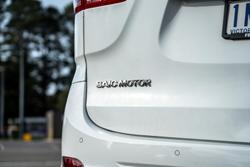 2018 LDV
                G10 