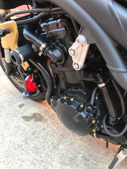 2007 Triumph
                Speed Triple 1050 