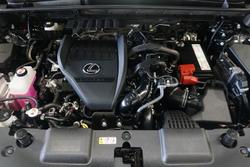 2022 Lexus
NX NX350 F Sport