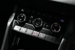 2019 SKODA
                Karoq 110TSI