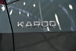 2019 SKODA
                Karoq 110TSI