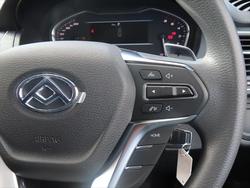 2025 LDV
G10