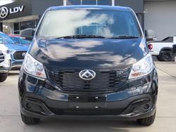 2025 LDV
G10
