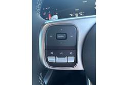 2025 GWM
Tank 300 Ultra