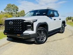 2025 LDV
                TERRON 9 