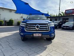 2021 GWM
Ute Cannon-X