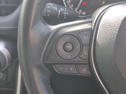 2022 Toyota
                RAV4 Cruiser