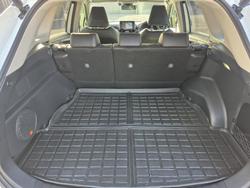 2022 Toyota
                RAV4 Cruiser