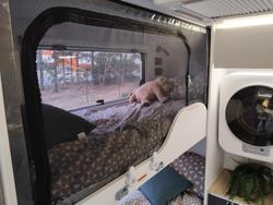 2025 Gold Class Caravans Ac18f Family Double Bunk Full Off-Road- Price Reduced!