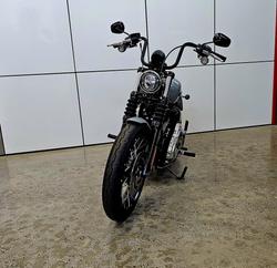 2025 Harley-Davidson Street Bob 117 (FXBB) Softail