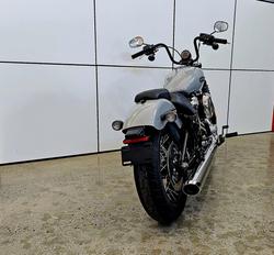 2025 Harley-Davidson Street Bob 117 (FXBB) Softail