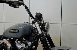 2025 Harley-Davidson Street Bob 117 (FXBB) Softail