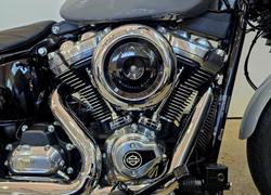 2025 Harley-Davidson Street Bob 117 (FXBB) Softail